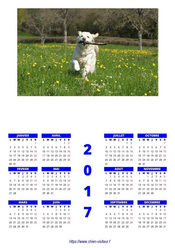 calendrier chien visiteur 2017
