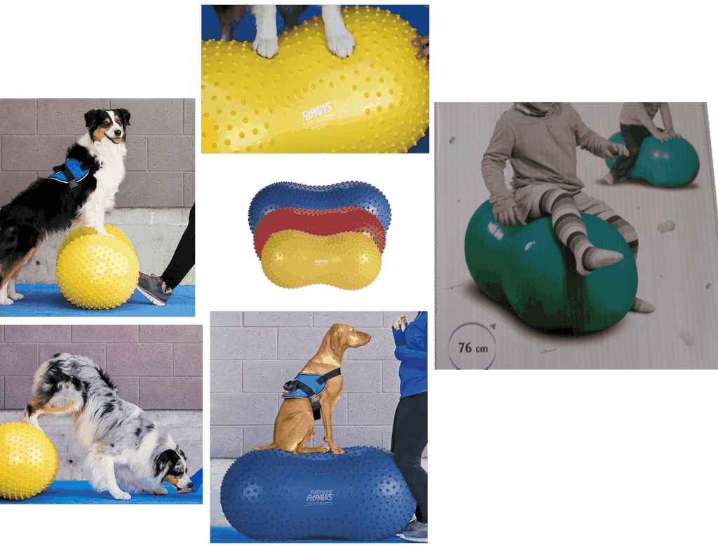 Ballons cacahuète plate-forme d'entraînement pour les chiens