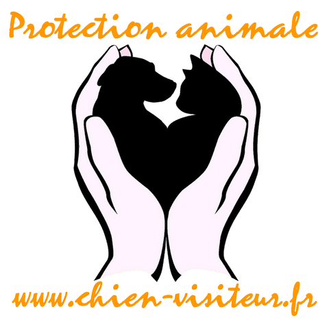 image protection animale