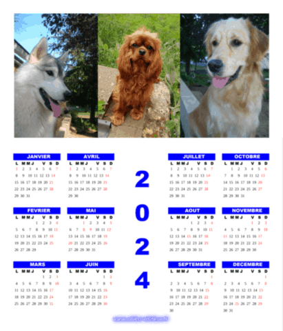 calendrier chien visiteur 2024