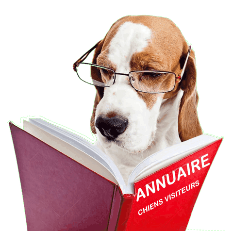 Chien qui lit l'annuaire chien visiteur