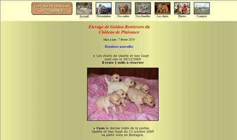 chien visiteur- Elevage de Golden Retrievers du Château de Plaisance