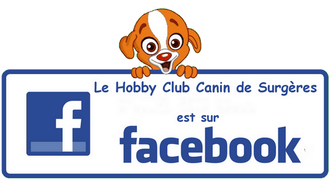 facebook du club canin de Surgères