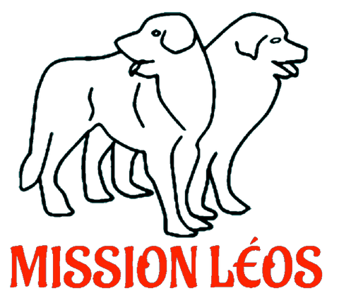 association mission Léo