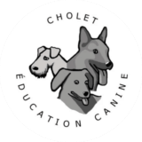 annuaire chien, logo du Cholet éducation canine