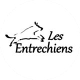 annuaire chien, logo du Club Canin "Les Entrechiens"