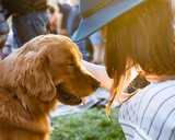 chien de soutien émotionnel : Golden Retriever et jeune femme