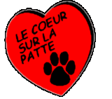 annuaire chien, logo de l'association le coeur sur la patte 