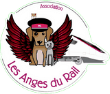 logo de l'association les anges du rail
