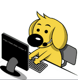 chien qui utilise un ordinateur