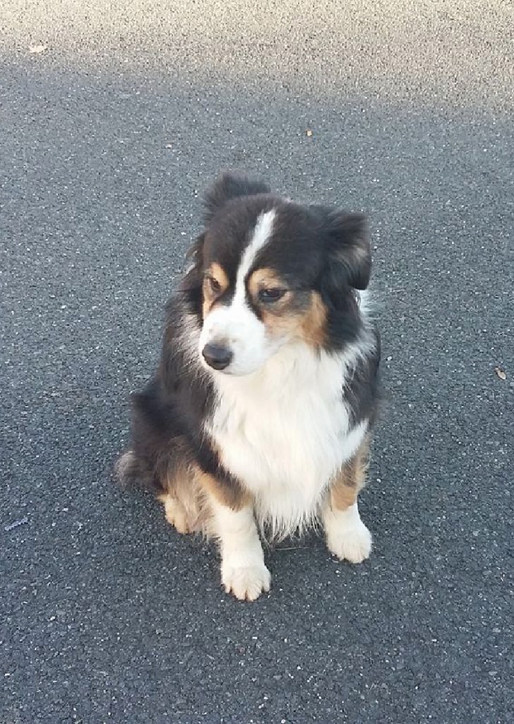 berger australien 181129