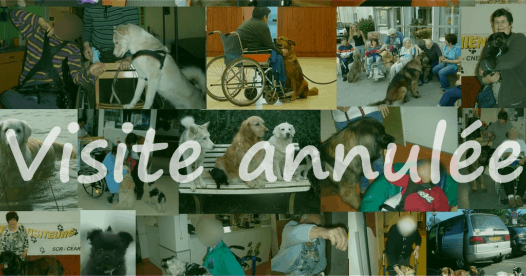 photo pêle-mêle de chiens visiteurs en visite avec la mention visite annulée