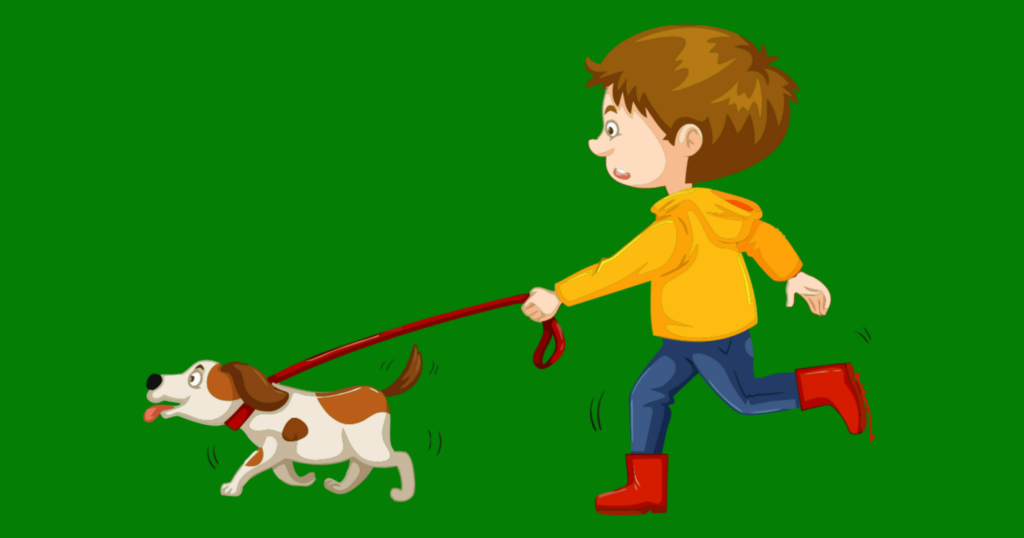 un enfant promène un chien en laisse