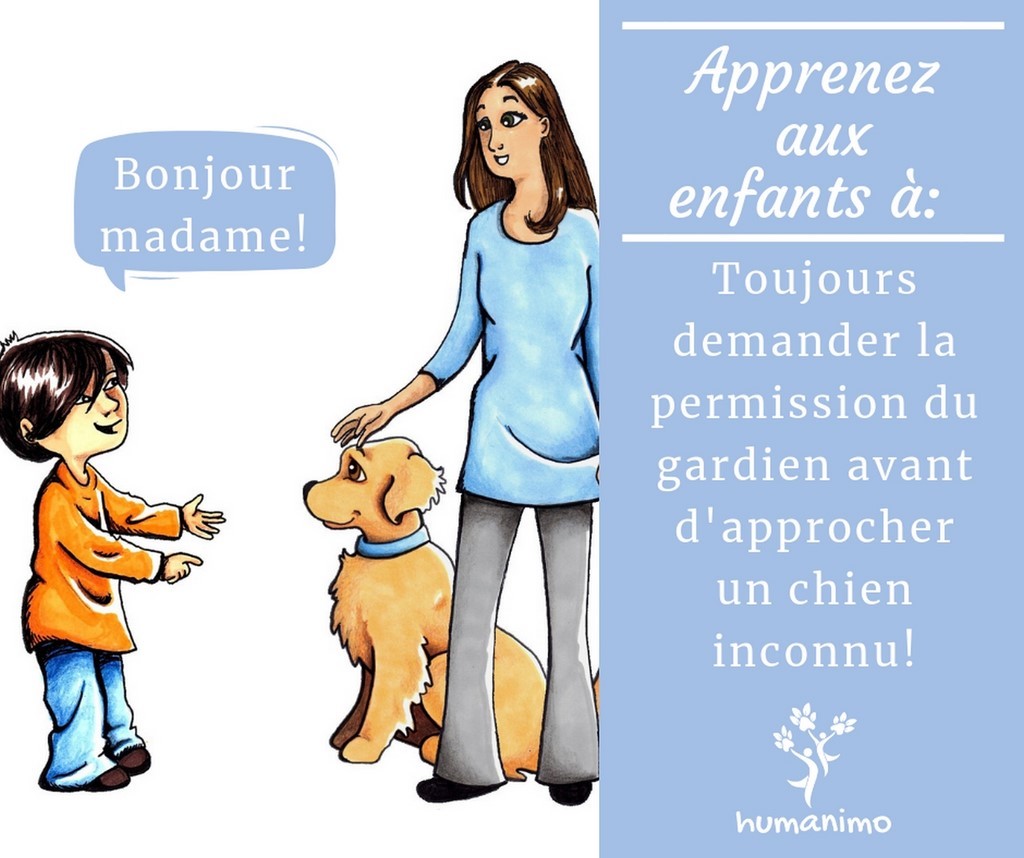Affiche de prévention des morsures, assoc. Humanimo: toujours demander la permission au gardien du chien pour approcher un chien inconnu en toute sécurité