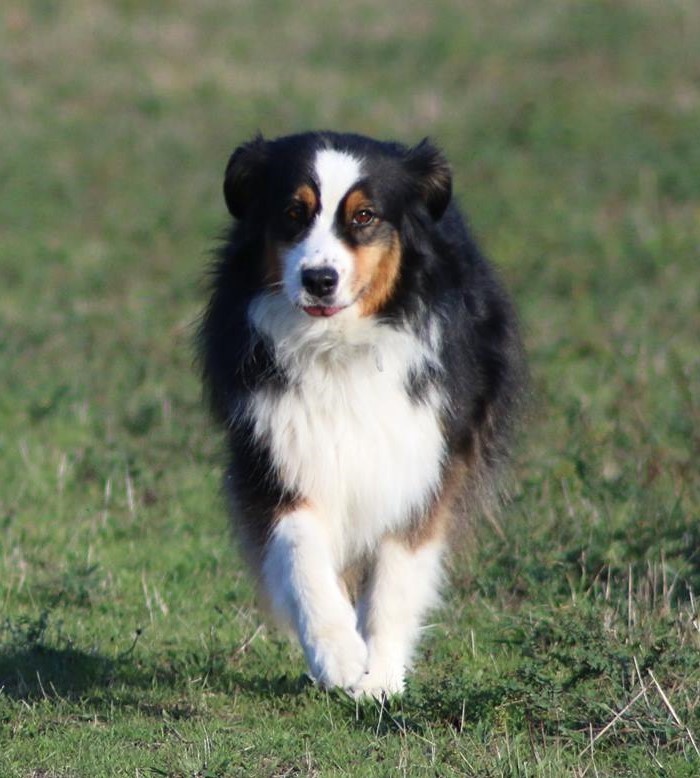 Joy Berger Australien