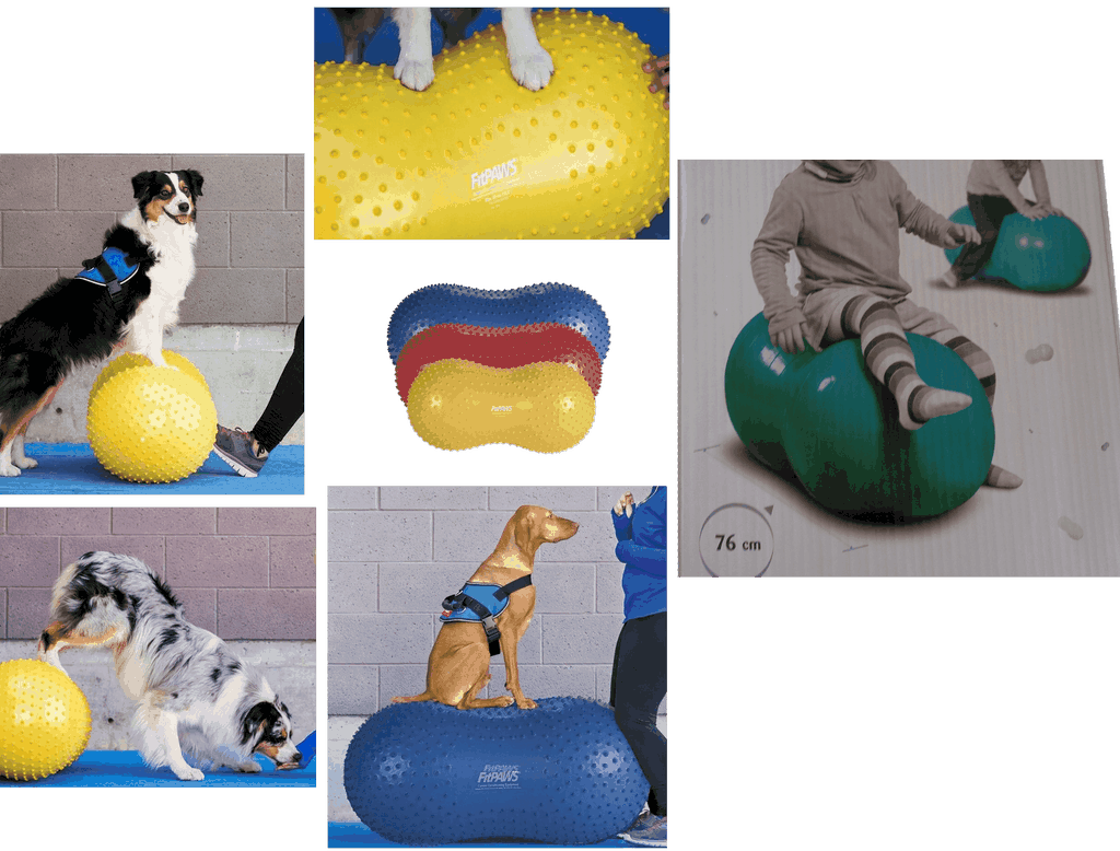 Ballons cacahuète plate-forme d'entraînement pour les chiens