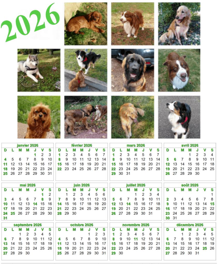 calendrier chien visiteur 2026