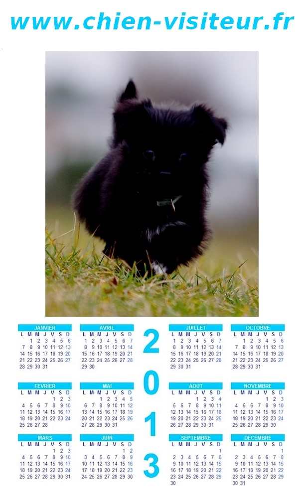 calendrier chien visiteur 2013