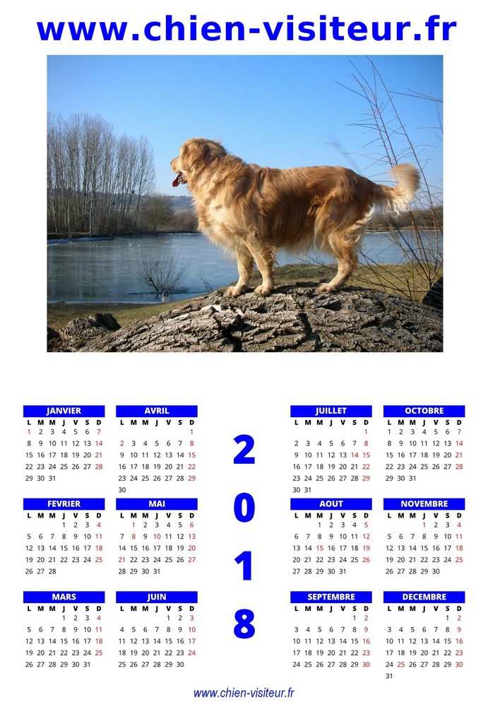 calendrier chien visiteur 2018