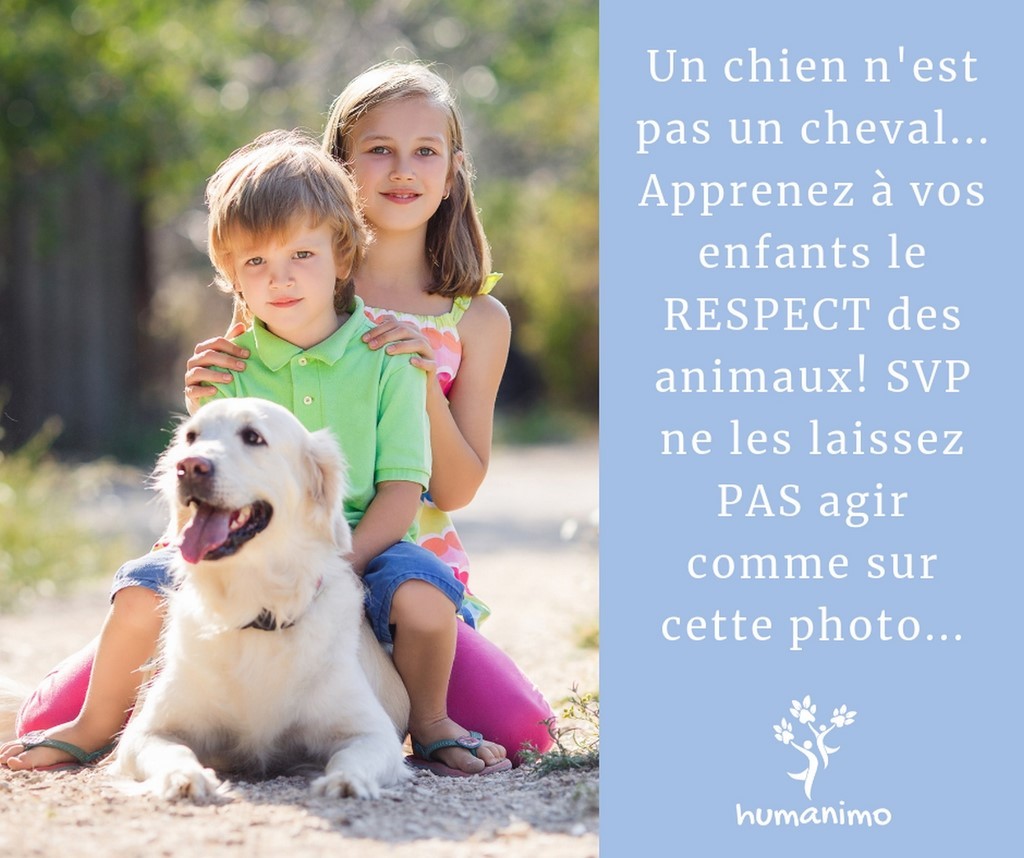 Affiche de prévention Humanimo: un chien n'est pas un cheval … Apprenez à vos enfants le respect des animaux, ne les laissez pas agir comme sur cette photo