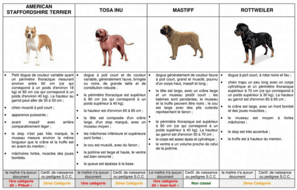 Visuel en forme de tableau : Les American Staffordshire terrier, Tosa inu, Mastiff, Rottweiler sont-ils des chiens de 1ère catégorie ou de 2ème catégorie ?