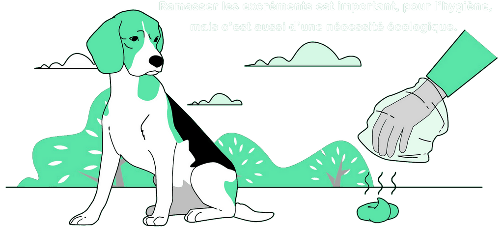 Les crottes de chien polluent Ramasser les crottes de votre chien est important, pour l’hygiène, mais aussi pour l’environnement, surtout si vous vous baladez dans une réserve naturelle.