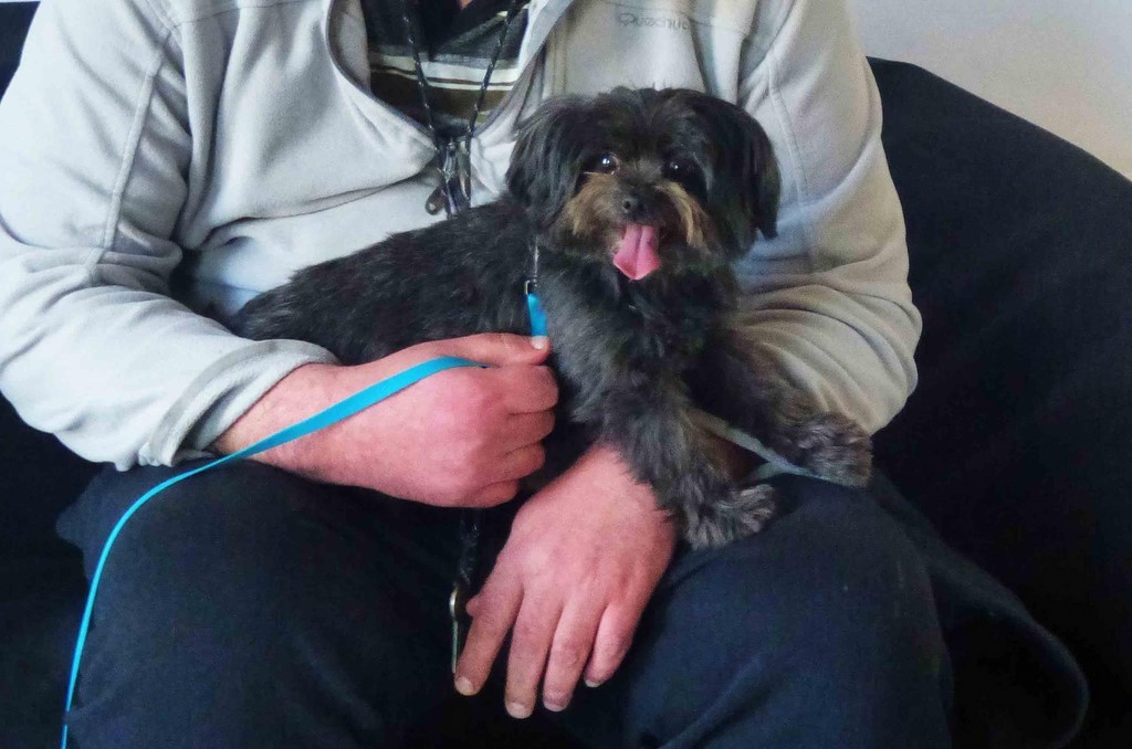 chien visiteur 190321-1