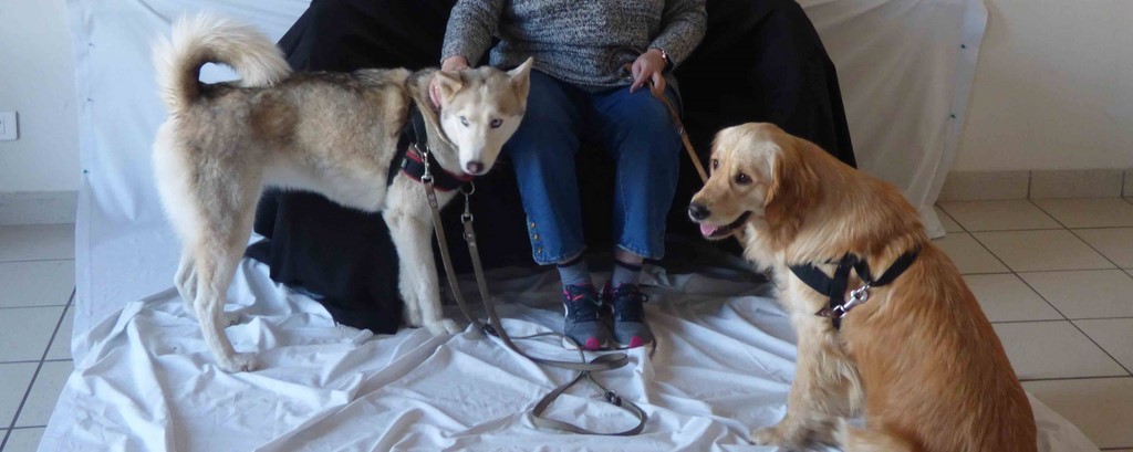 chien visiteur 190321-15