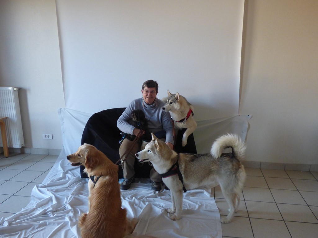 chien visiteur 190321-51