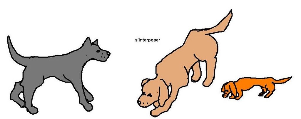 apprendre à reconnaître les signaux d'apaisement dessin pour apprendre à reconnaître les signaux d'apaisement des chiens afin de les employer dans vos interactions avec les chiens – un chien qui s'interpose