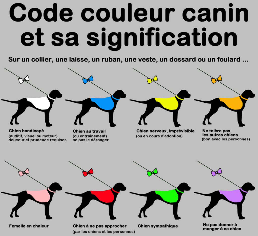 Le code couleur canin est un système de couleurs indiquant la personnalité ou le comportement du chien afin de faciliter la sécurité lors des interactions.