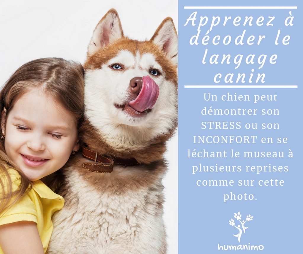 apprendre à décoder le language canin