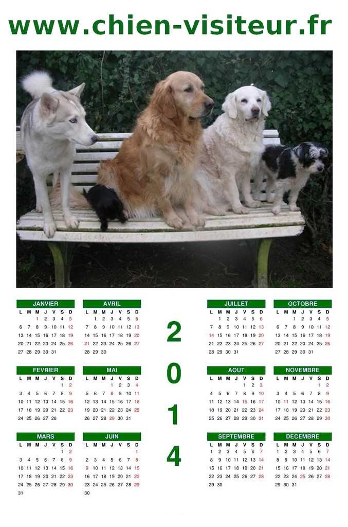 chien visiteur, calendrier 2014