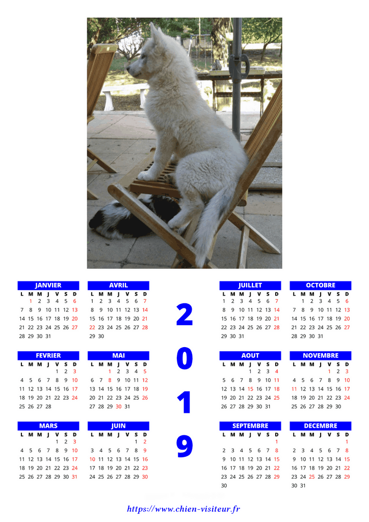 calendrier chien visiteur 2019