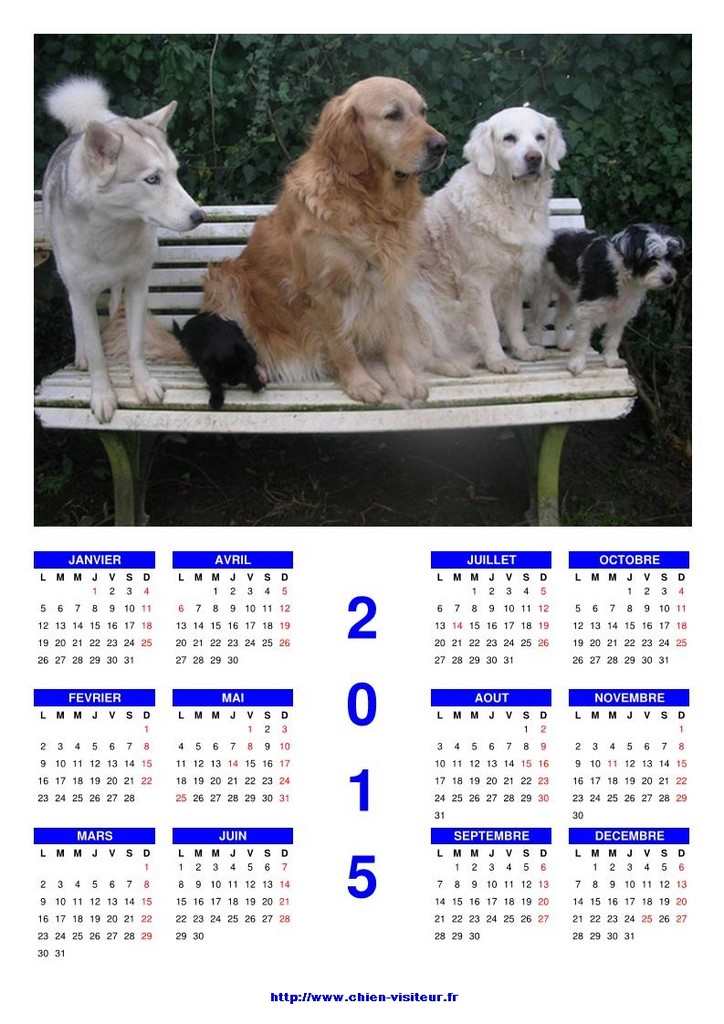 calendrier chien visiteur 2015