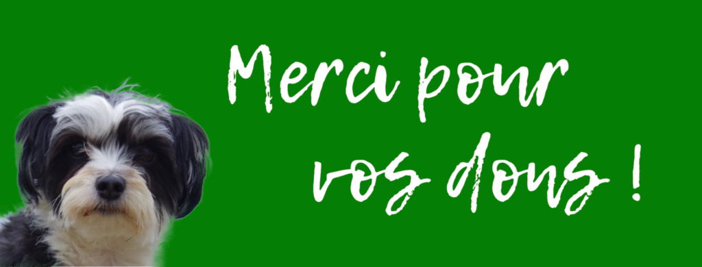 imae tête de chien avec le texte merci pour vos dons