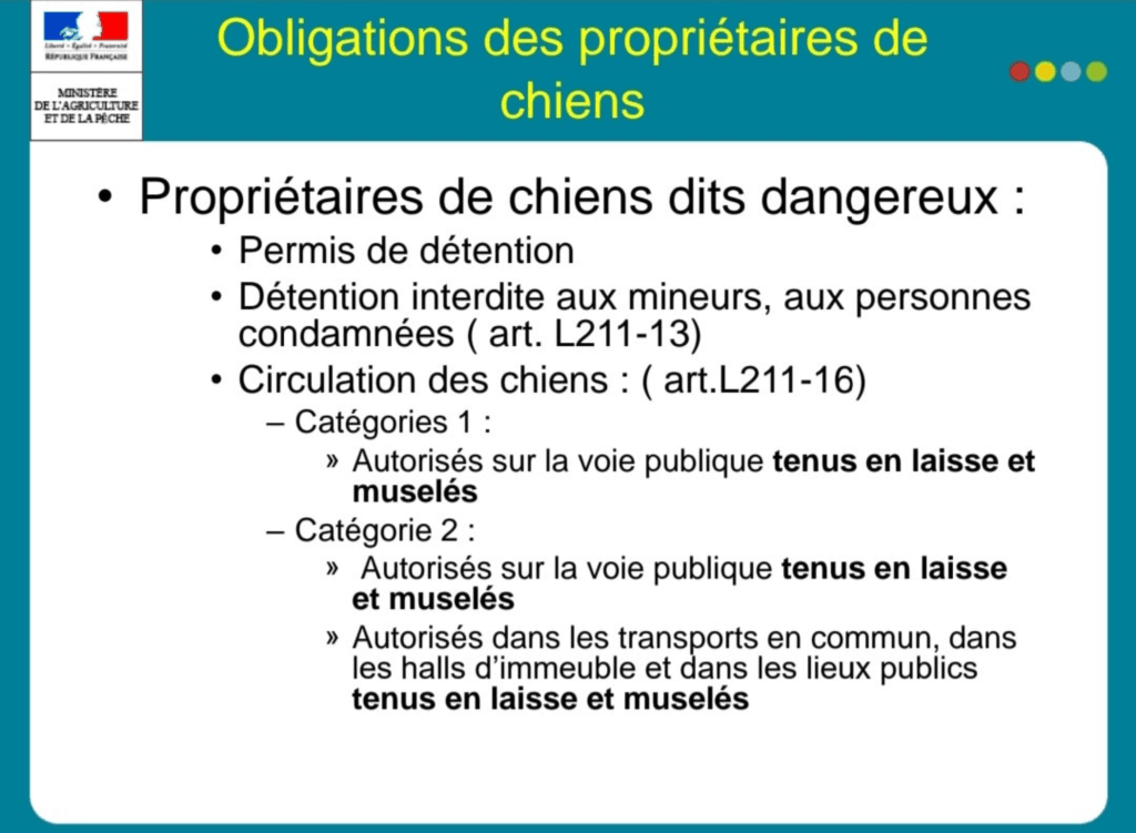 Ministère agriculture, obligations des propriétaires de chiens. Chiens de catégorie 1 et de catégorie 2, ... permis, circulation, muselière, mineurs ...