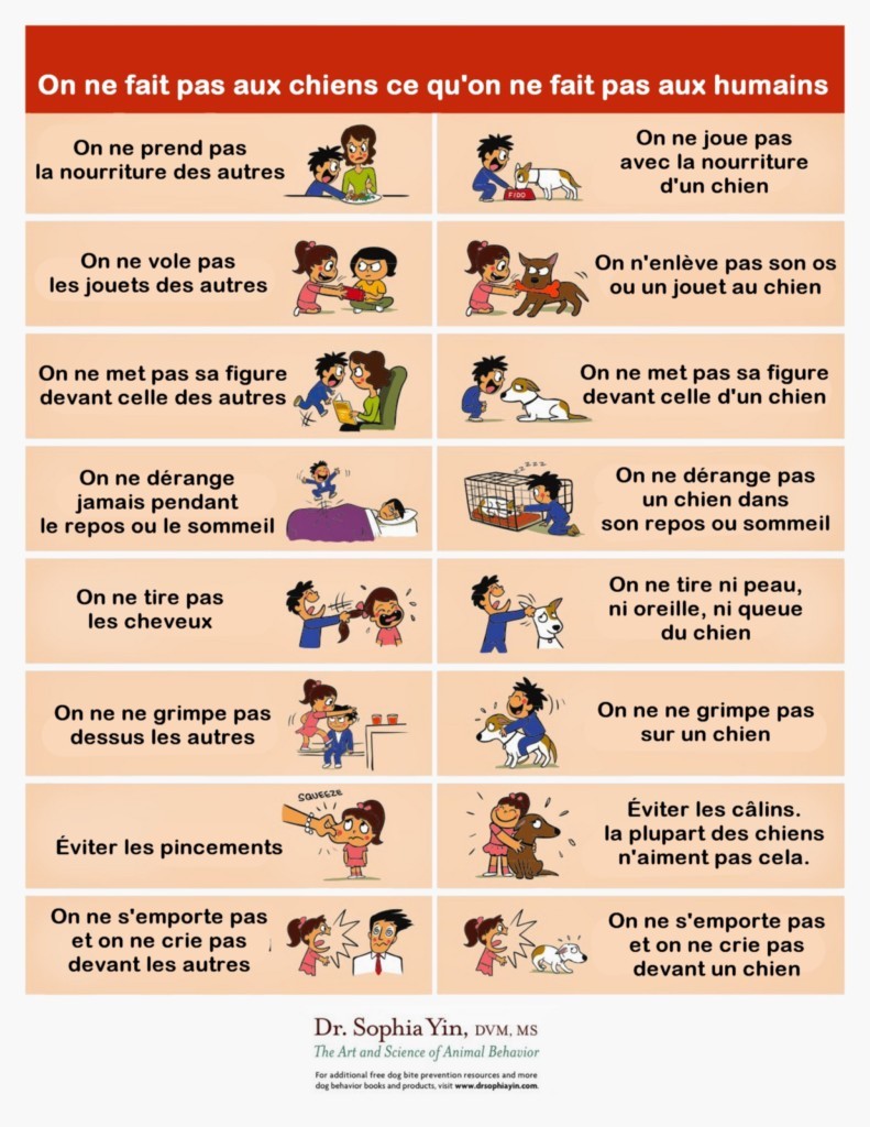 Matériel éducatif de prévention des morsures du chien à destination des enfants . Affiche : On ne fait pas aux chiens ce qu'on ne fait pas aux humains