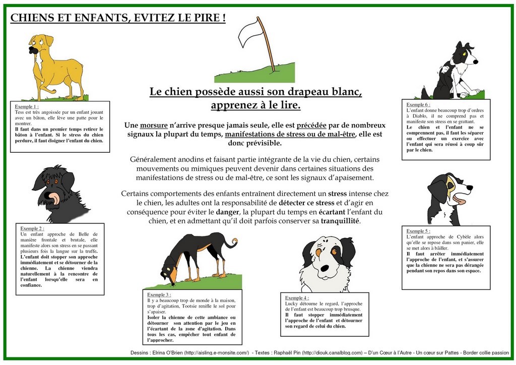 Les Signaux D Apaisement Turid Rugaas Pdf