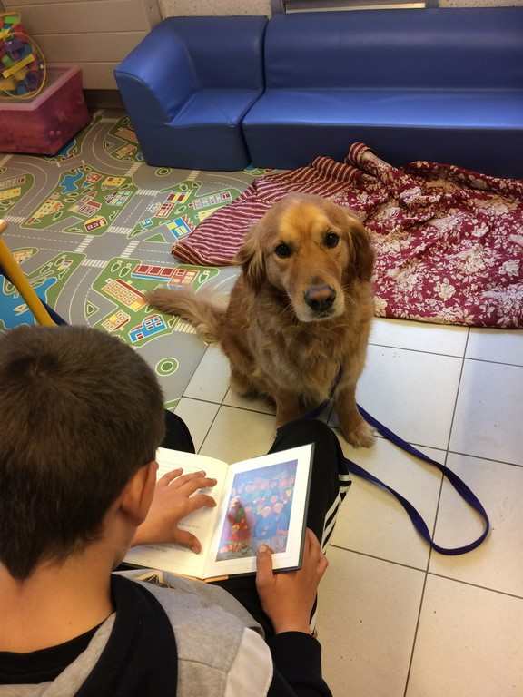 le chien visiteur lecteur à l'école