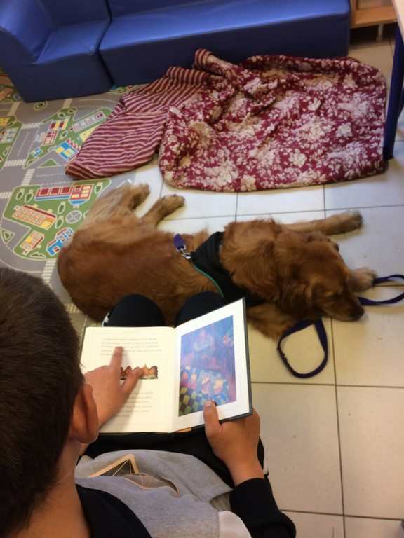 le chien visiteur lecteur et dyslexie