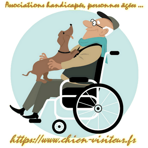 personne agée dans un fauteuil roulant avec un chien visiteur