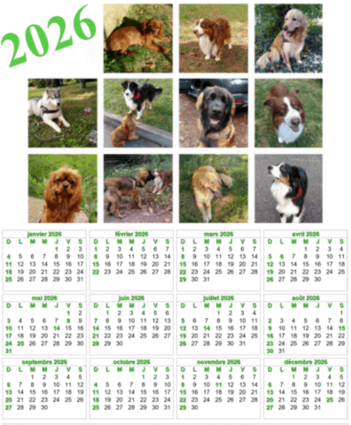calendrier chien visiteur 2026