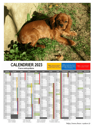calendrier chien visiteur 2023
