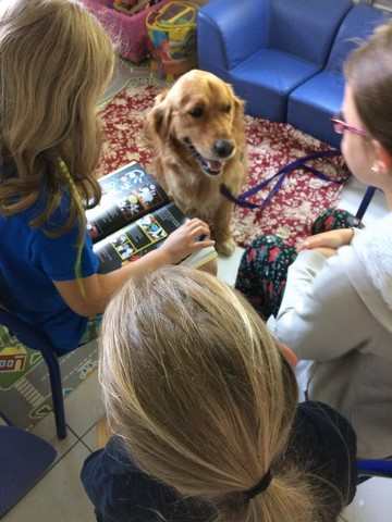 lire avec un chien à l'école