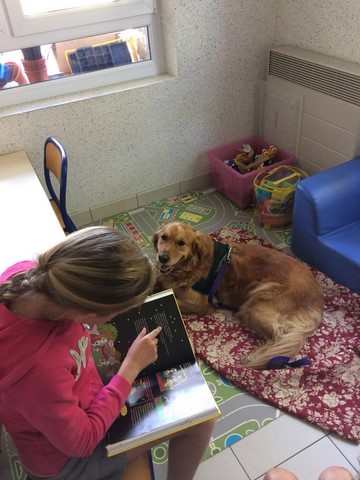 lire à un chien à l'école