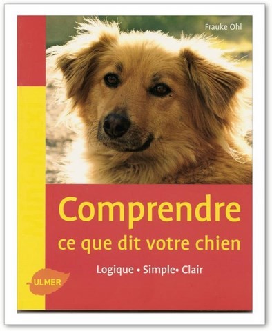 chien visiteur, Comprendre ce que dit votre chien 