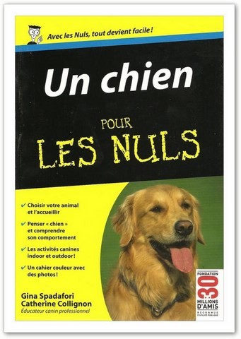 chien pour les nuls