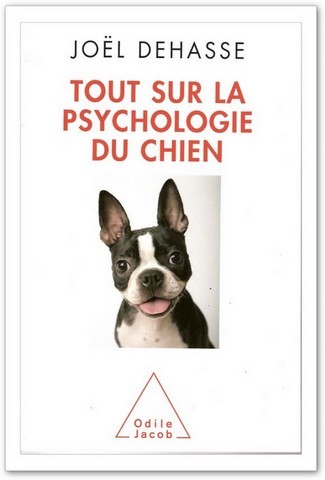 psychologie du chien