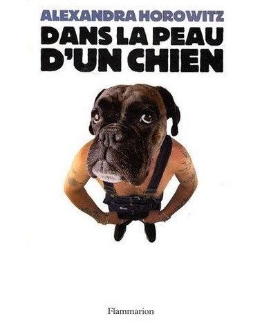 peau d'un chien